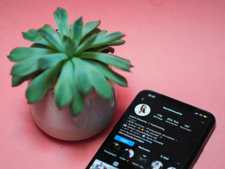 Brand ambassador | Social Media Influencers
